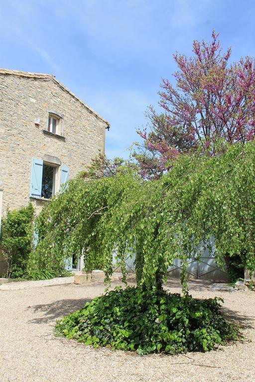 La Rose Bed & Breakfast Saint-Gervasy Bagian luar foto