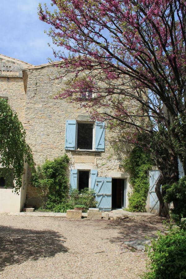 La Rose Bed & Breakfast Saint-Gervasy Bagian luar foto